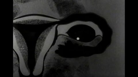 CIRCA 1950s - A silent film about menstruation.