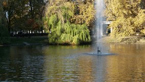 A fountain in the center of the lake of a city park. Video.