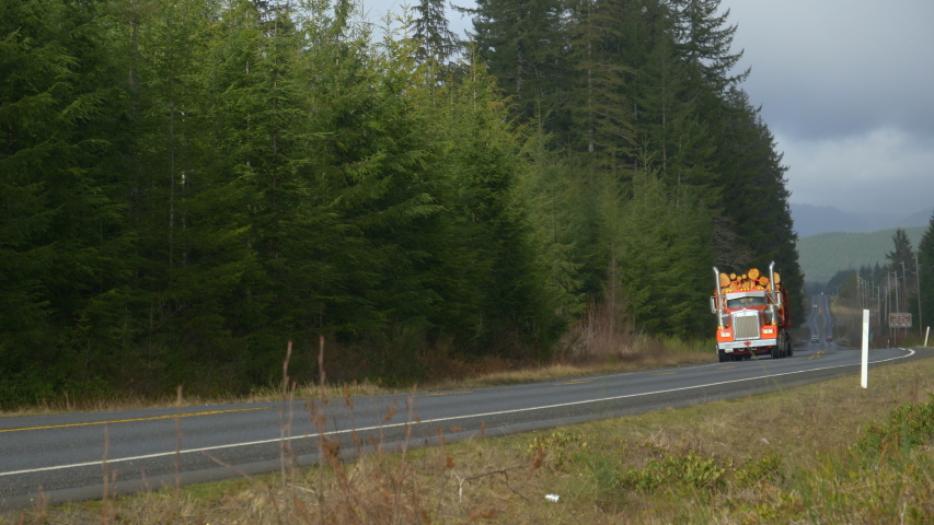 Red big rig transports heavy logs down an empty asphalt highway crossing the beautiful Olympic National Forest in Washington, USA. Large 18 wheel freight truck hauls heavy logs down the rural freeway. Royalty-Free Stock Footage #1039548983