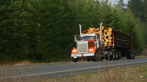 Red big rig transports heavy logs down an empty asphalt highway crossing the beautiful Olympic National Forest in Washington, USA. Large 18 wheel freight truck hauls heavy logs down the rural freeway.