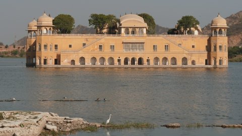 an afternoon view of jal mahal palace with an egret on the shore at jaipur, india