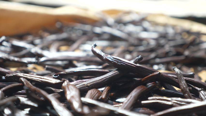 Dried Vanilla Beans Closeup, Deph of Field Royalty-Free Stock Footage #1039564835