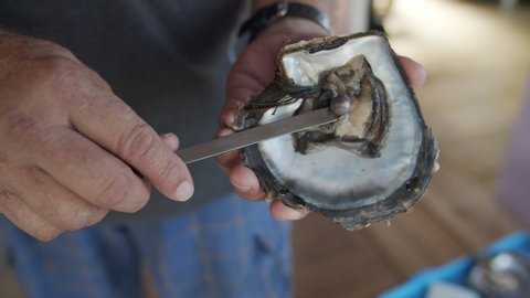 Black Pearl Closeup, Oyster Harvesting