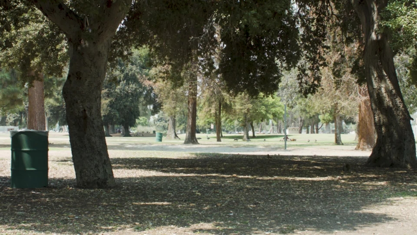 Autum in the local park