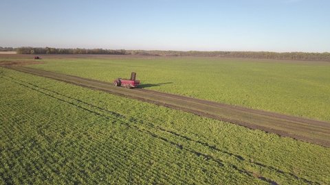 Harvesting sugar beets. Combines and cars remove root crops from the field. Aerial survey from a drone or quadrocopter. Autumn field work on the farm. Harvesting raw materials for sugar production.