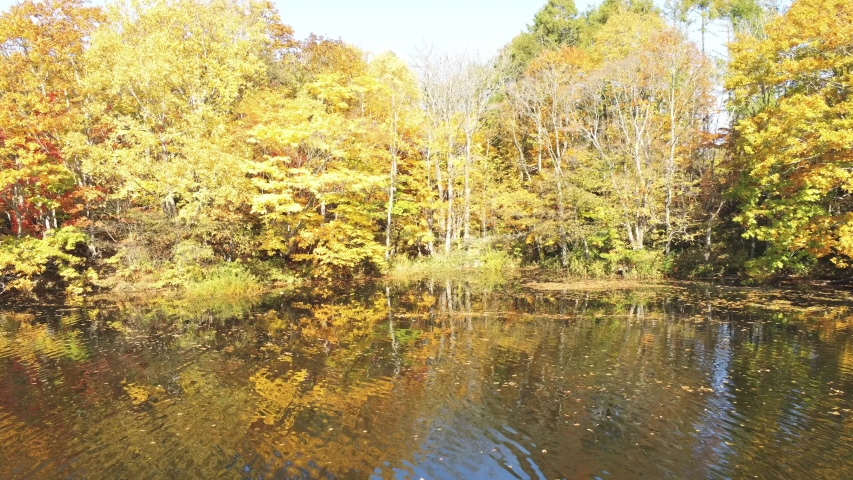 Aerial view of the peak season with blue sky, blue pond and autumn leaves