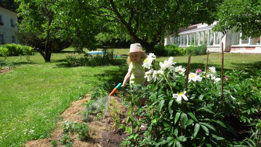 Child using garden hose on sunny day. Little gardener girl with hat watering flowers in garden on a summer day. Gimbal stabilizer movement motion shot.