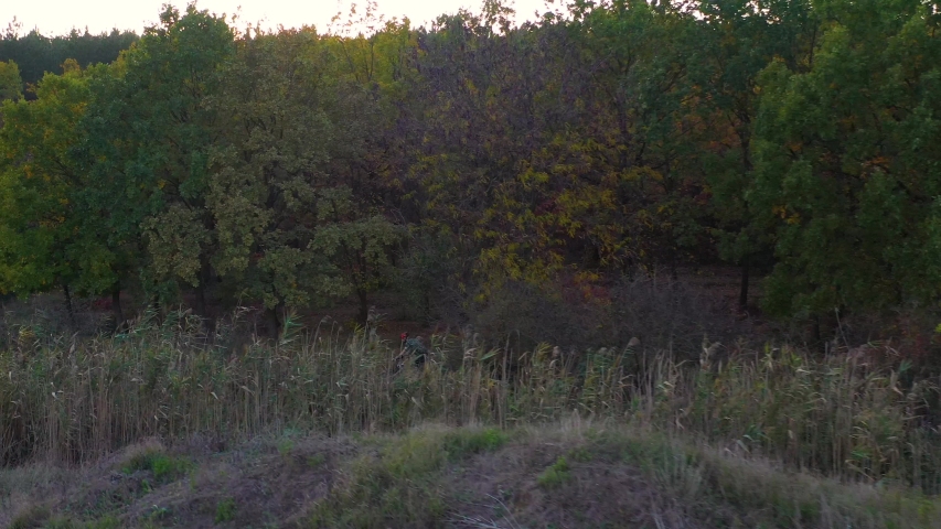 Drone shot of man cyclist riding bicycle in autumn forest