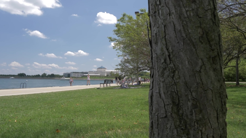 Shedd Aquarium from Lake Front Trail, Chicago, Illinois, United States of America, North America