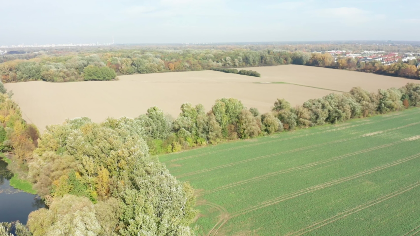 Aerial view of a green agricultural field surrounded by yellow trees. Background image of lush grass field under blue sky.