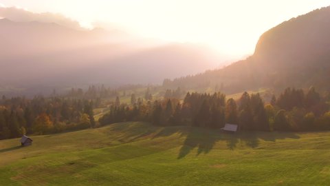 AERIAL: Beautiful green meadows in Slovenian countryside at autumn sunset. Picturesque drone view of autumn colored woods in Bohinj covering the stunning landscape at sunrise. Golden evening sunshine.