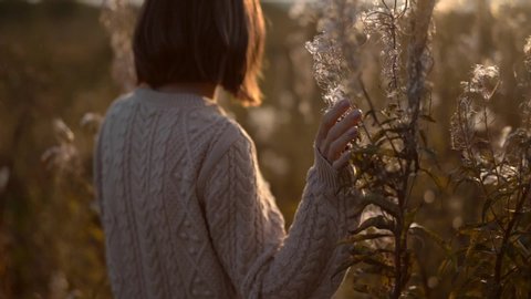 Outdoor slow motion video of young beautiful lady in autumn landscape with dry flowers. Knitted sweater. Warm Autumn day. brunette walking in park.