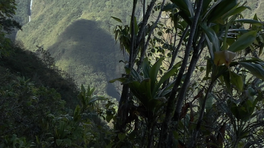 Lush Rainforest Valley Reveal Shot With Dramatic Waterfalls, Hawaii