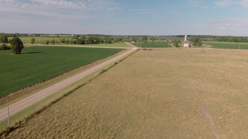 Aerial Shot of Cows Grazing in Farm Field in Ontario Farmland
