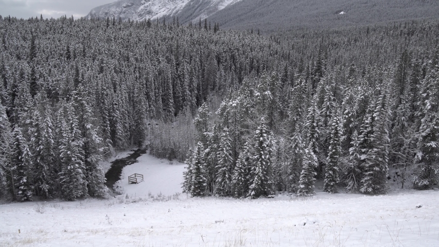 Tilt shot of the beautiful nature of Jasper Nationalpark in Canada with snowy forst and mountains.