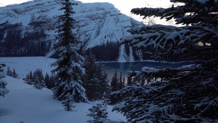 Track shot of the beautiful nature of the Jasper National Park in Canada with snowy forest, mountains and a icy lake.