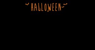 Halloween celebration witch with a broom. Animation made in 4K vector design. black orange and text : HALLOWEEN
