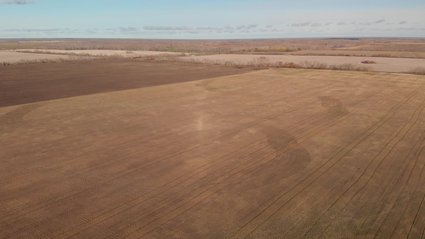 High flying drone view moving slowly forward over a large harvest wheat fields in various shades of brown.  A blue sky with small clouds is shown in the top ¼ of the video.