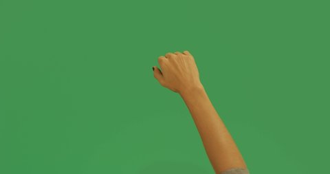 Set of 6 gestures of woman hands on green screen
2 Hands
Eyes
Thumbs Up / Down
Fuck
Finger Snap