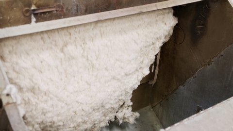 Clean cotton flowing inside a machine in a large industrial cotton gin