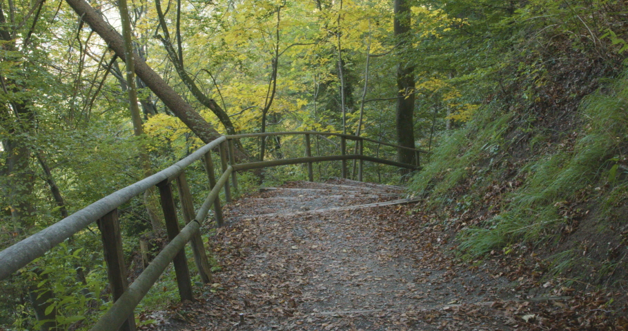 Walking down a hill in an autumnal forest. Path in the forest. Felsenegg. Zurich. Switzerland.