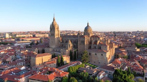 Aerial view of Salamanca Cathedral in Salamanca, Castile and Leon, Spain
