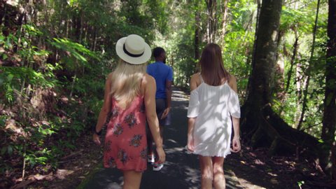 Three happy friends walking on a trail through shaded green forest with soft day lighting. Wide shot on 4k RED camera.