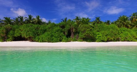Beautiful Green Forest In An Island In Maldives - Wide Shot