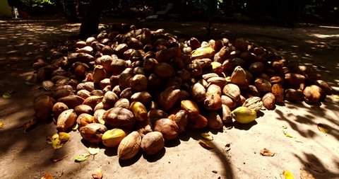 A Pile Of Tropical Fruits In The Philippines - Wide Shot