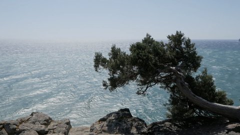 View from a high cliff to the surface of the water from the sea or ocean. Blue waves of water.