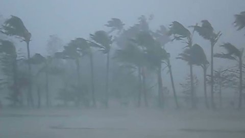 Hurricane Extremely Strong Wind and Heavy Rain Breaking Trees, Super Typhoon part5