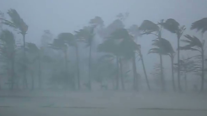 Hurricane Extremely Strong Wind and Heavy Rain Breaking Trees, Super Typhoon | Shutterstock HD Video #1039697948