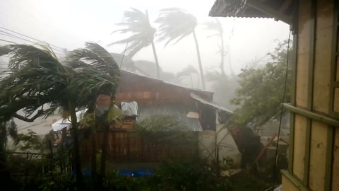 Hurricane Extremely Heavy Wind and Heavy Rain Breaking Trees and Stokes Houses, Super Typhoon 2