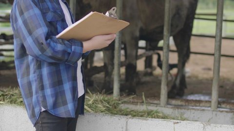 Asian boy working at farm. Teen in blue shirt working in cow farm.