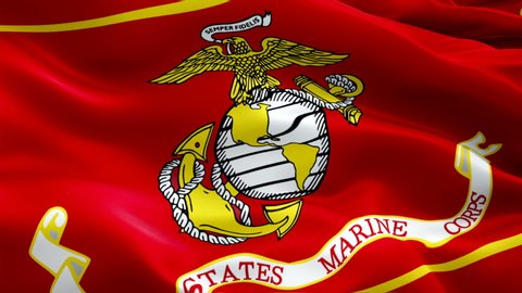 United States Marine Corps waving flag. National 3d NAVY flag waving. Sign of US Marine Corps seamless loop animation. NAVY flag HD resolution Background. USA Marine Corps flag Closeup 1080p Full HD 