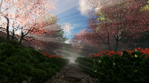 Beautiful garden alley with sun shinning through blossom cherry trees, 4K