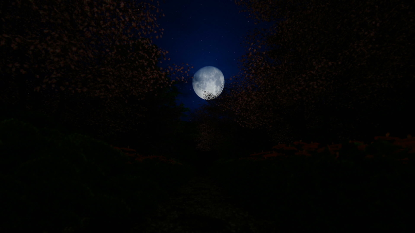 Beautiful japanesse garden with full moon shinning through blossom cherry trees, hd