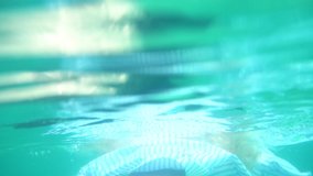 Underwater view. Woman swimming in the piece swimsuit and shirt - Powered by Shutterstock - Get 15% off with code: PIKWIZARD15