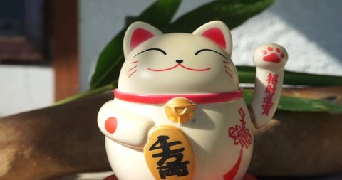 toy lucky cat statue for Japanese , Holds a gold medal in Japanese that translates into prosperity and good fortune.In the atmosphere outside, there is sunlight.