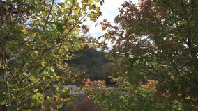 THe autumn at lake Chuzenji in Nikko Natinal Park of Japan, Prefecture de Tochigi. Video was taken with Nikon Z7, flat picture profile.