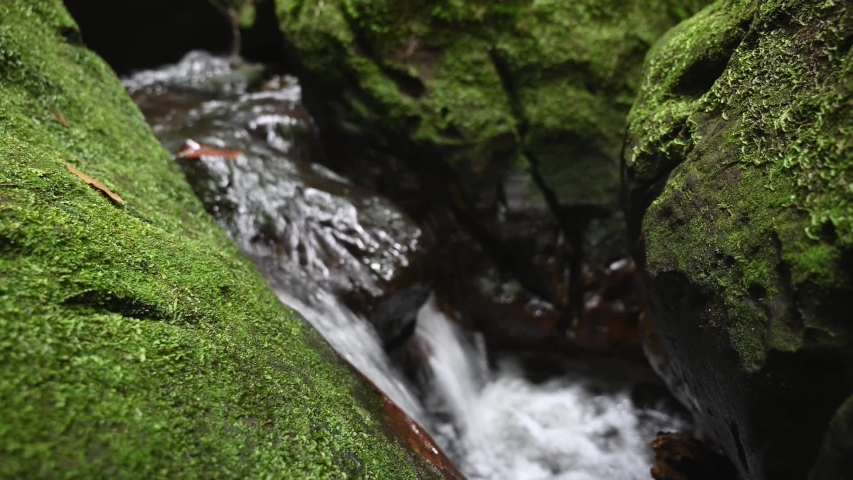 Natural waterfalls in the forest