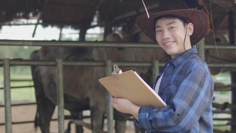 Asian boy working at farm. Teen in blue shirt working in cow farm.