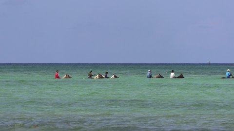 Horses and Horseback Riding Tourists on Tropical Vacation Wading in Caribbean Ocean in Grand Cayman Islands