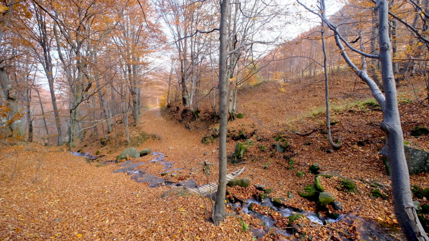 A river flows through the mountains of Tennessee during autumn
