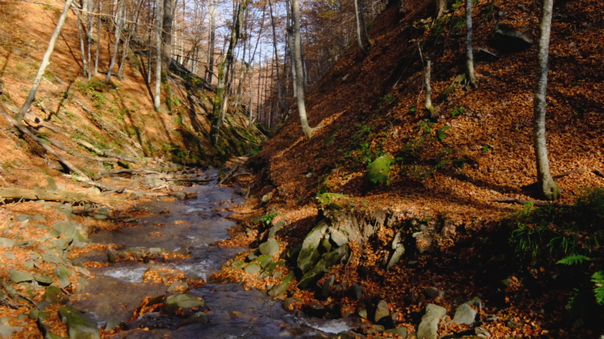 View of Little River in autumn, Great Smoky Mountains National Park, Tennessee