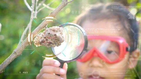 Asian little girl examining wasp's nest through a magnifying glass with digitally generated holographic display tech data visualization. Concept of self learning trips lifestyle in springtime.