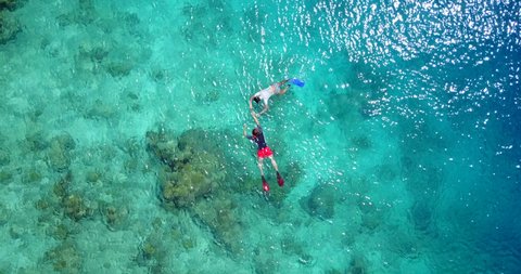 Couple snorkeling surrounded by aquamarine waters, home to hundreds of vivid fish species and other marine animals, including sharks, and manta rays