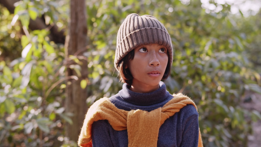  Asian girl wear a long-sleeved shirt and wool  hat while standing admiring the nature in the forest  morning in winter.