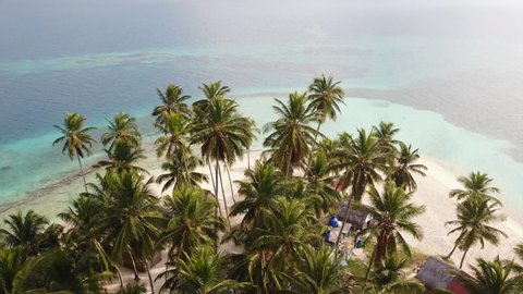 Palm trees aerial top view. Carribean tropical paradise isolated island aerial drone view. San Blas, Panama, tropical white sand beach with turquoise sea waters and corals.