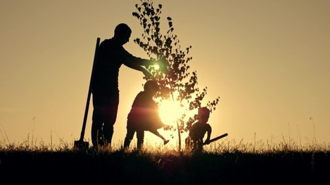 Silhouette of happy family at sunset plants tree. Senior farmer with children is planting tree. Silhouette of farmer family at sunset. Happy family with shovel and watering pad planting plant in soil
